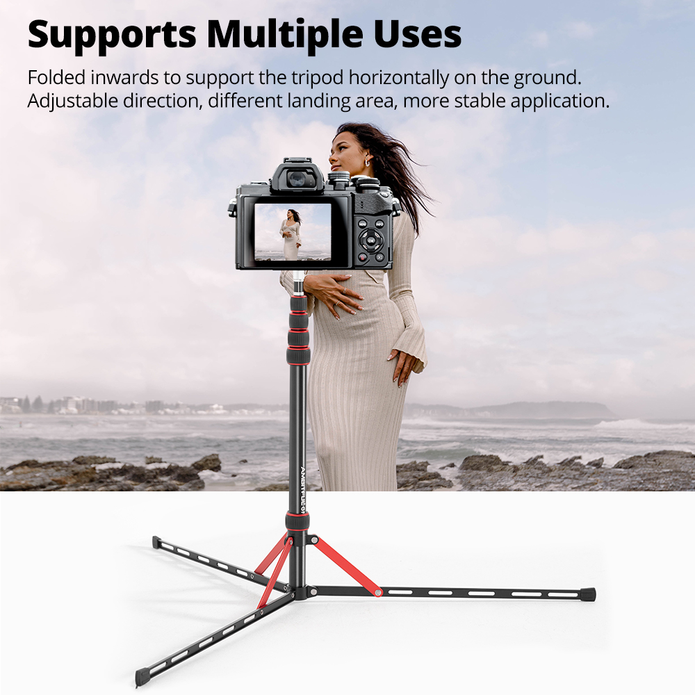 Ambitful GM220 Supporto per il - Photography Basics recensione e prezzo