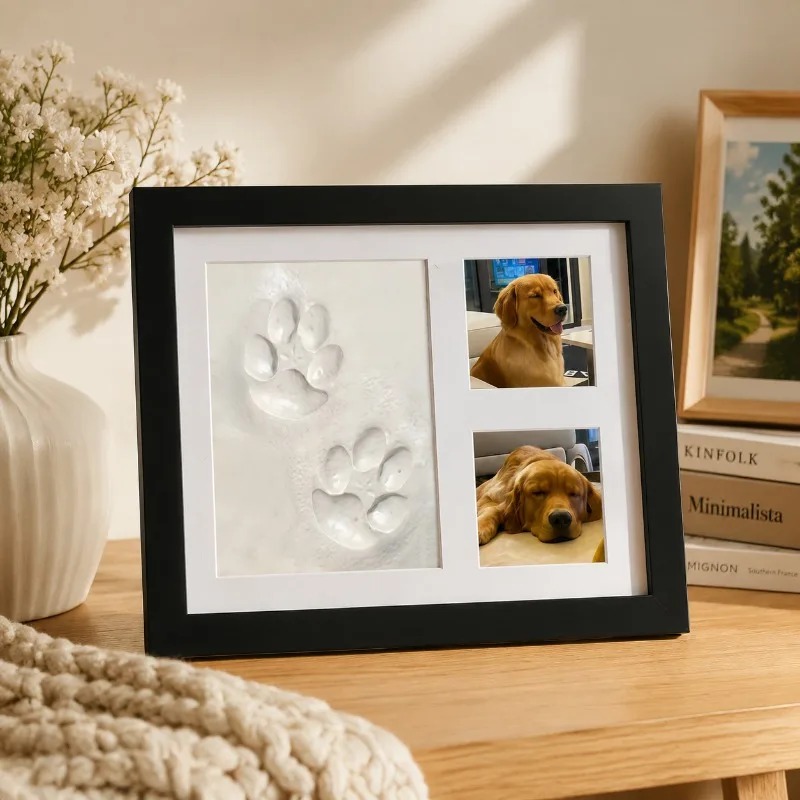 Kit Commemorativo Fai-da-Te pe - Photographic Memory recensione e prezzo