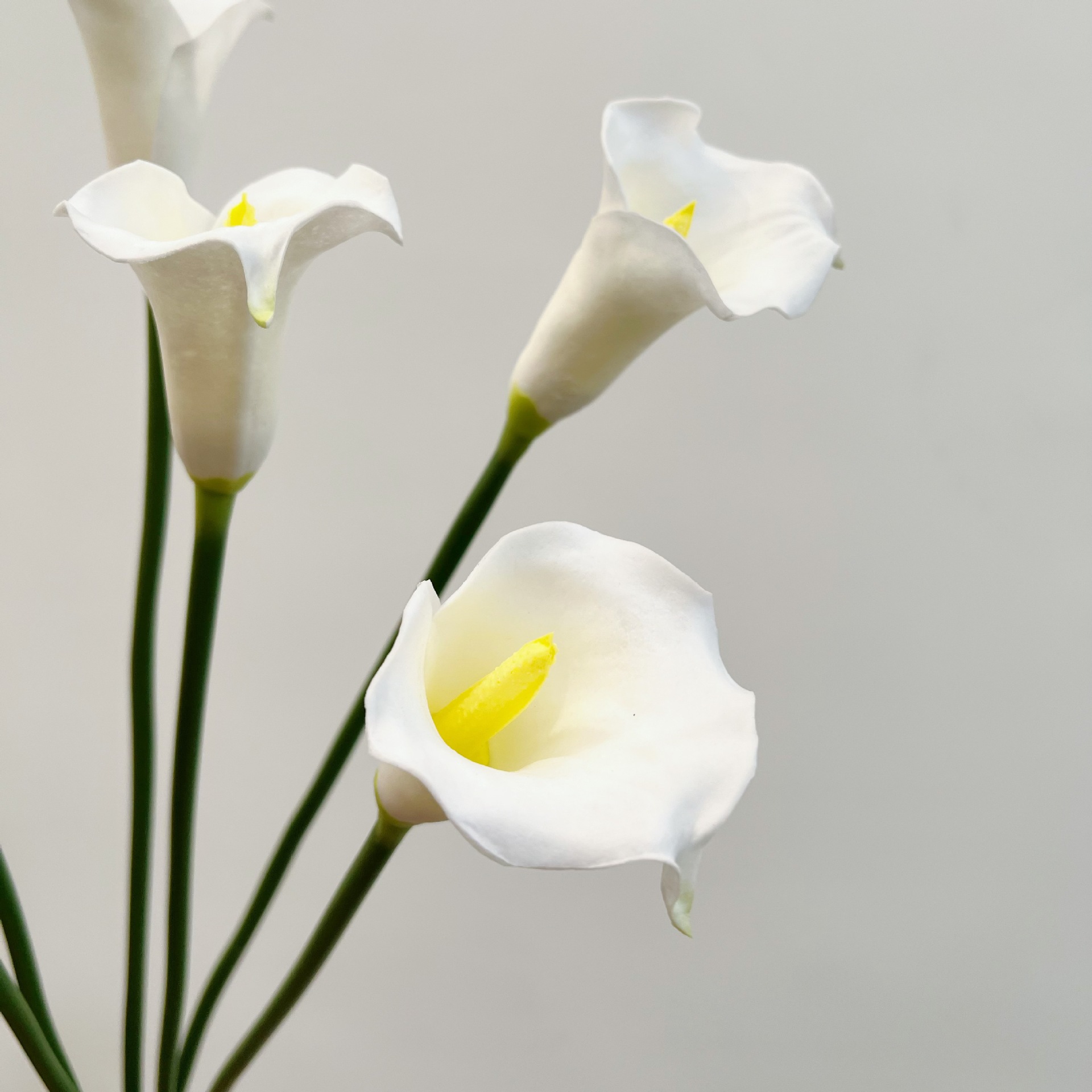 Fiore Artificiale di Calla a S - Photography Design recensione e prezzo